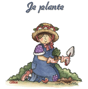 création/animation d'Alice : je plante 
