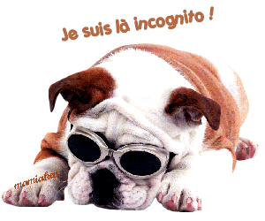 On se retrouve ici entre futurs adoptants ! - Page 41 24d67177