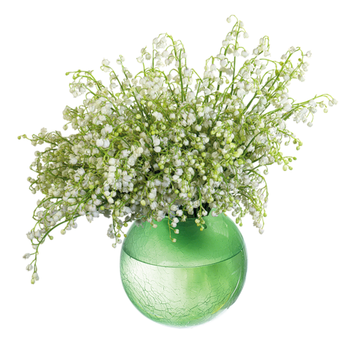 vase de muguet 