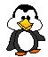gif pingouin