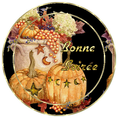 création/animation d'Alice : bonne soirée