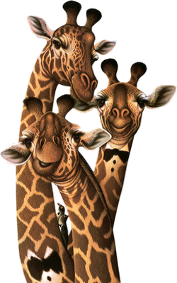 tube girafe 