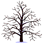 gif arbre 