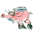 gif cochon nageur 