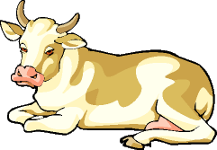 gif animal : vache