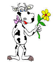 vache