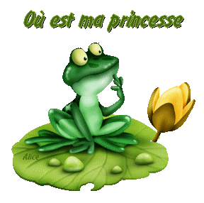 Ou Est Ma Princesse
