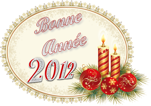 Bonne et Heureuse Anne 2012
