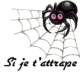 Résultat de recherche d'images pour "araignée animée gif"