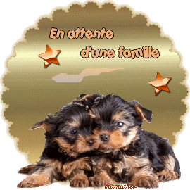 en attente d'une famille 