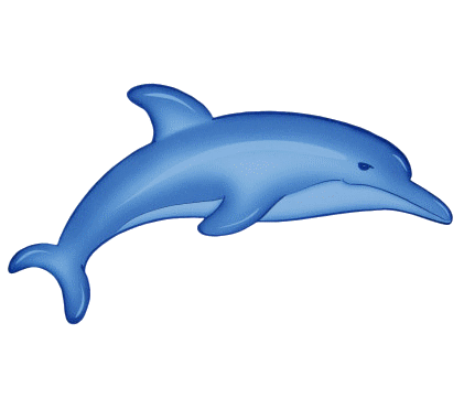 tube dauphin
