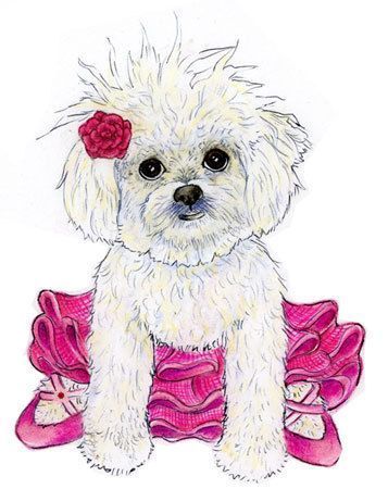 Image du Blog petitemimine.centerblog.net