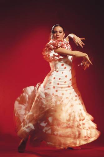 flamenco