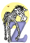 alphabet z